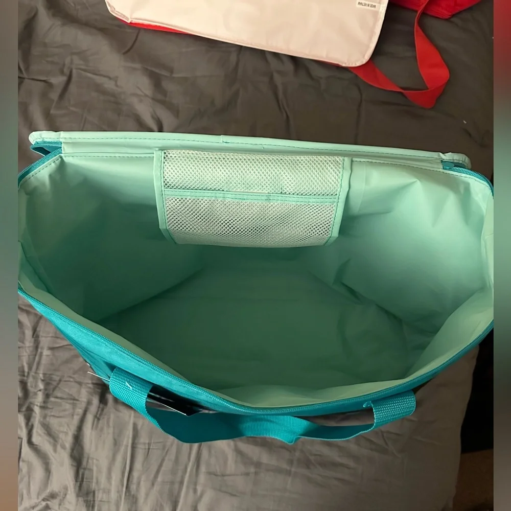 Teal Trader Joe’s Insulated Bag NWT - Picture 3 of 5